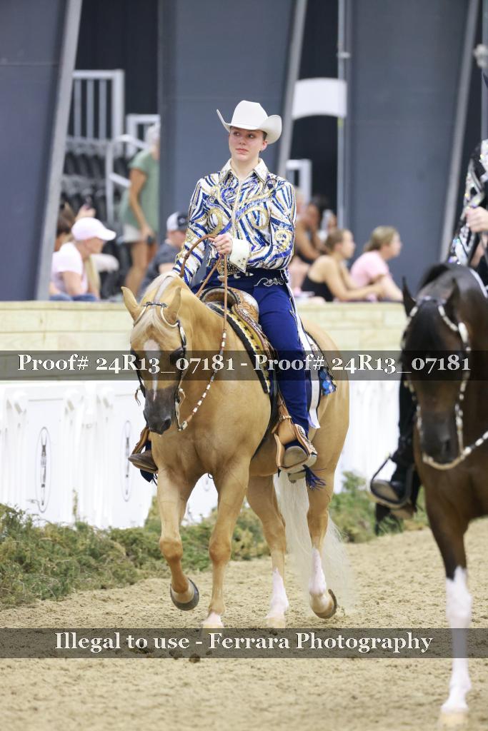 Proof Number 24R13_07181