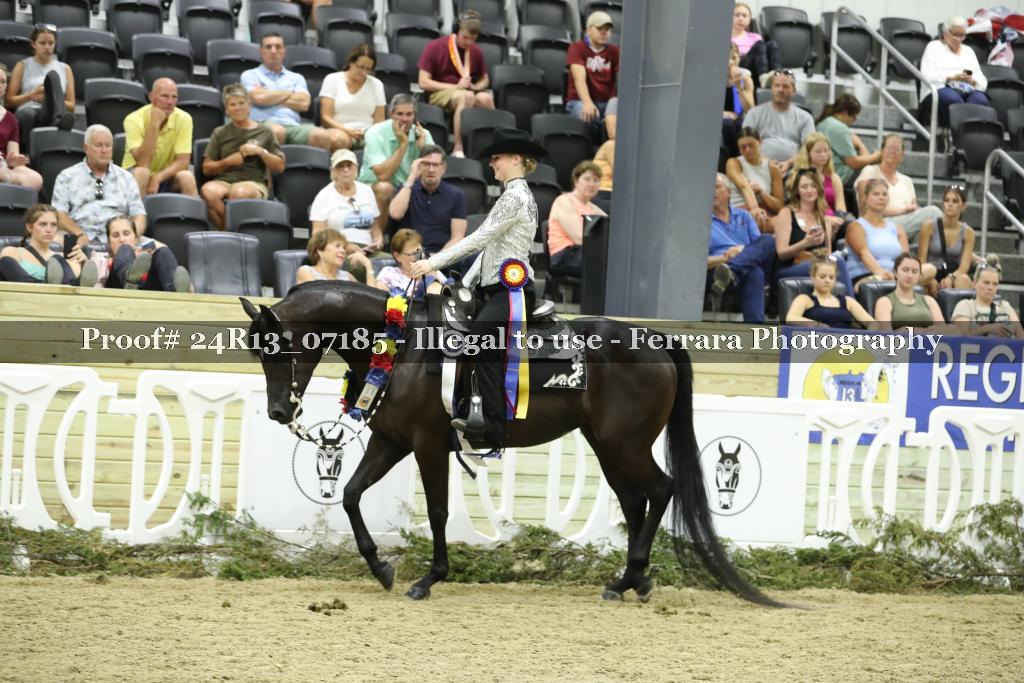 Proof Number 24R13_07185