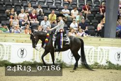 24R13_07186 thumbnail
