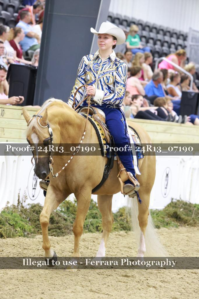 Proof Number 24R13_07190