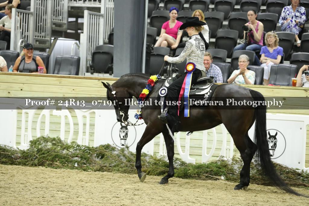 Proof Number 24R13_07191