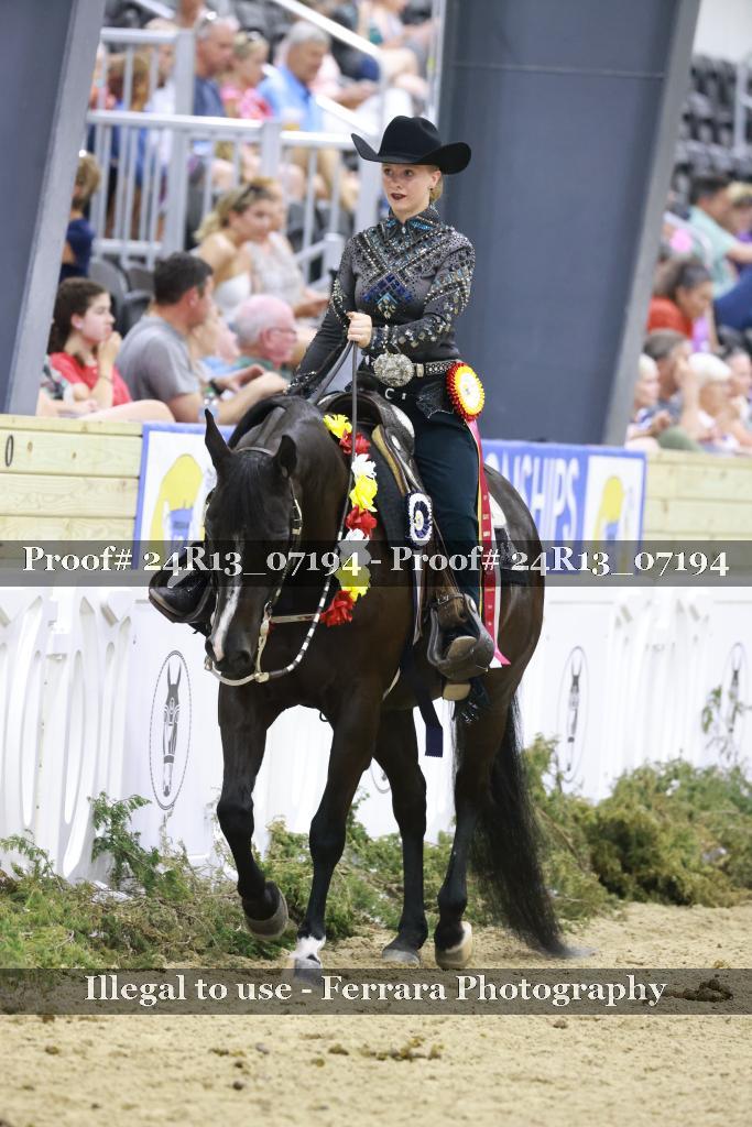 Proof Number 24R13_07194