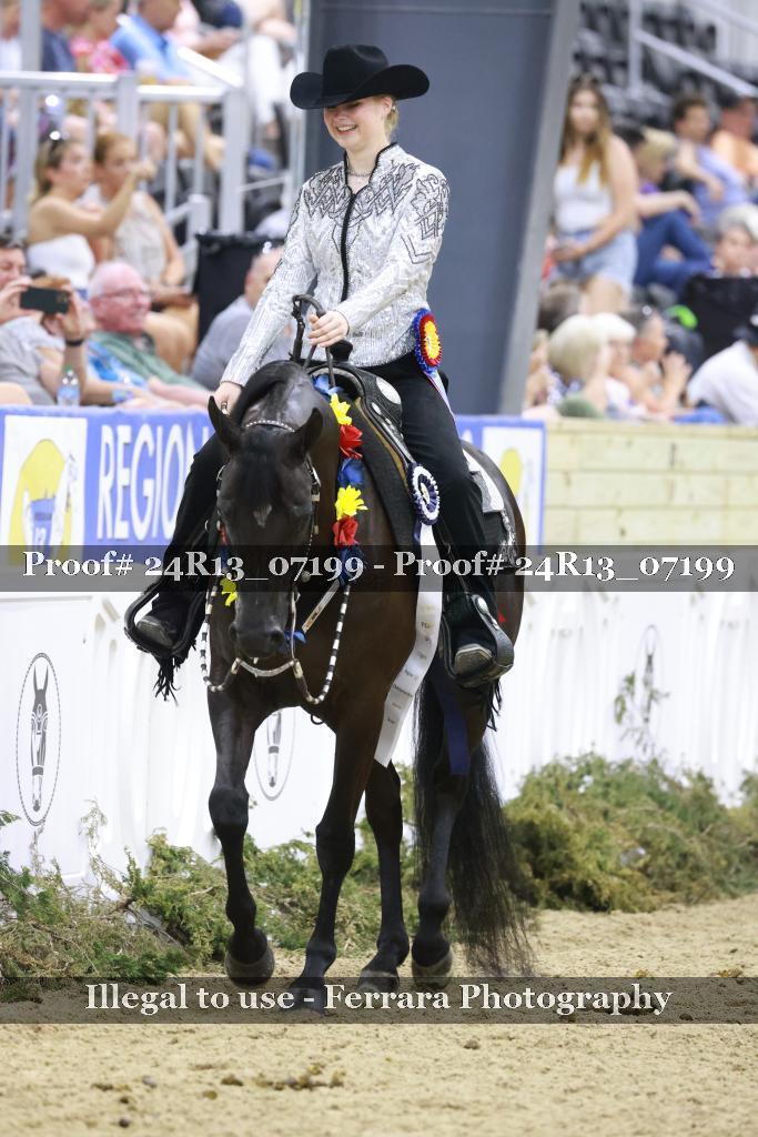 Proof Number 24R13_07199