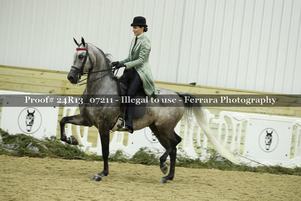 Proof Number 24R13_07211