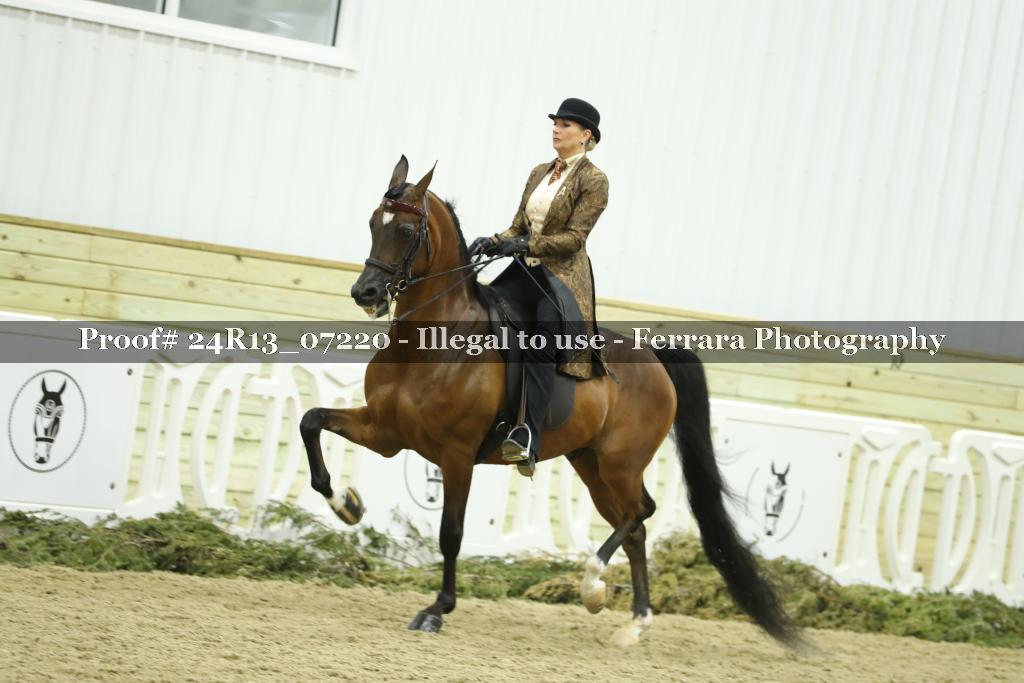 Proof Number 24R13_07220
