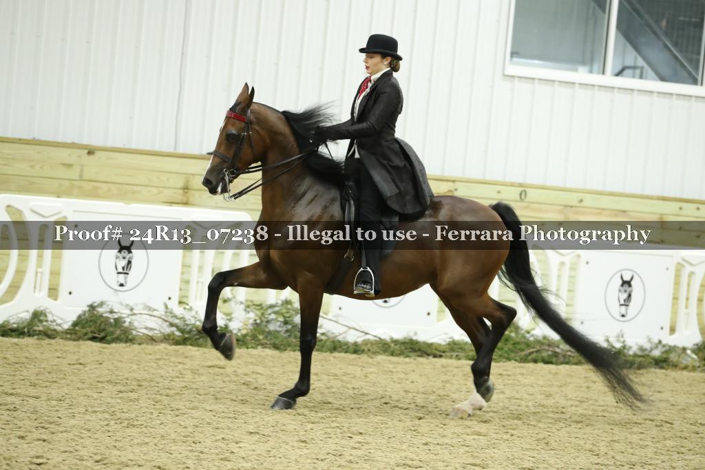 Proof Number 24R13_07238