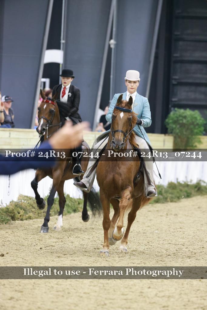 Proof Number 24R13_07244