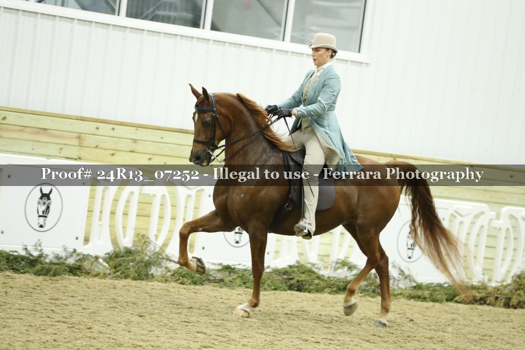 Proof Number 24R13_07252