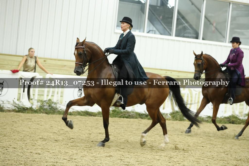 Proof Number 24R13_07253