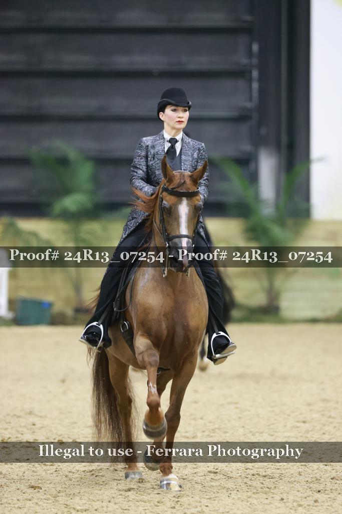 Proof Number 24R13_07254