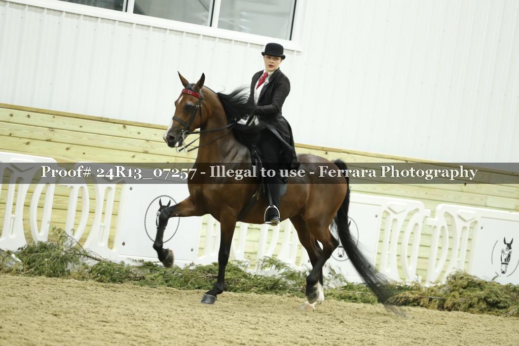 Proof Number 24R13_07257
