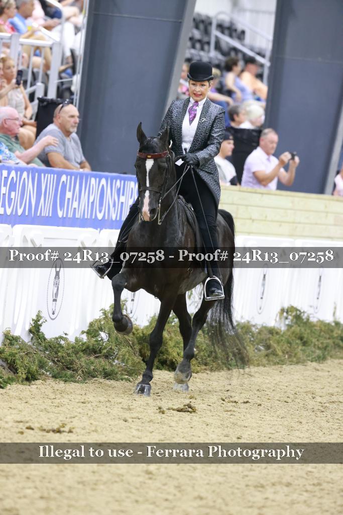 Proof Number 24R13_07258