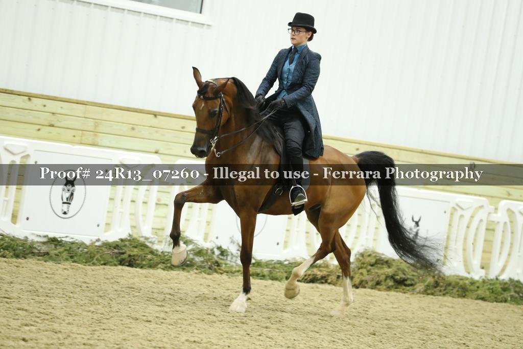 Proof Number 24R13_07260