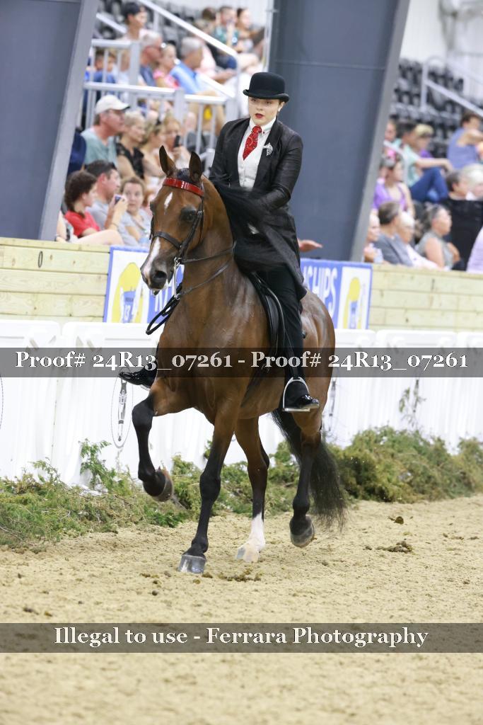 Proof Number 24R13_07261