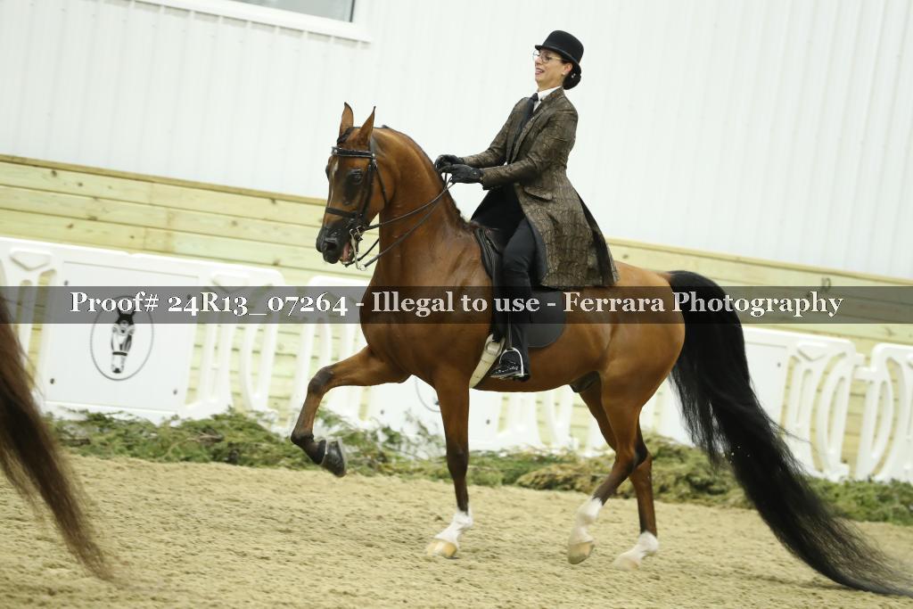 Proof Number 24R13_07264