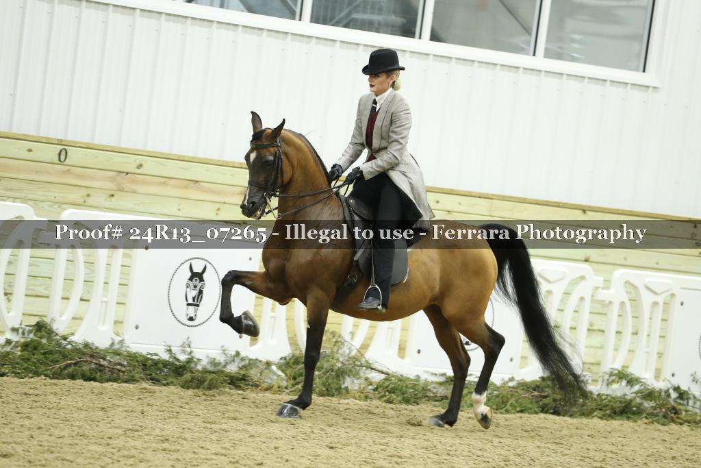 Proof Number 24R13_07265