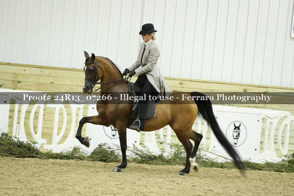 Proof Number 24R13_07266