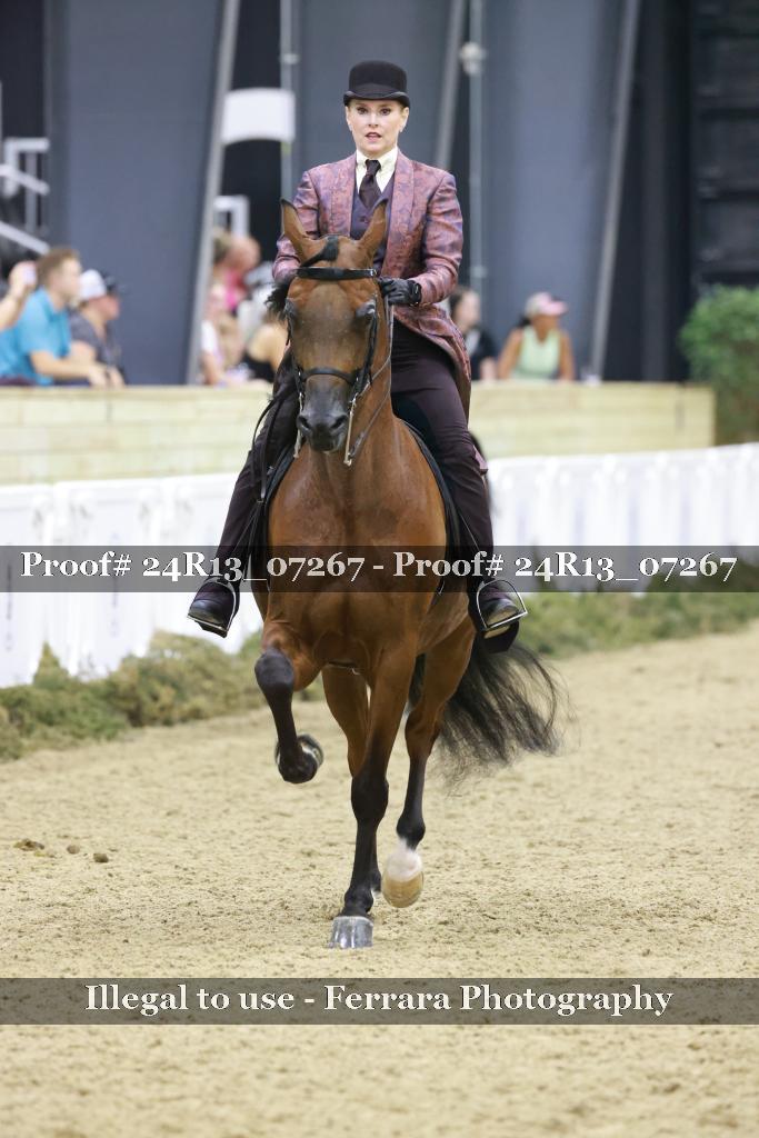Proof Number 24R13_07267