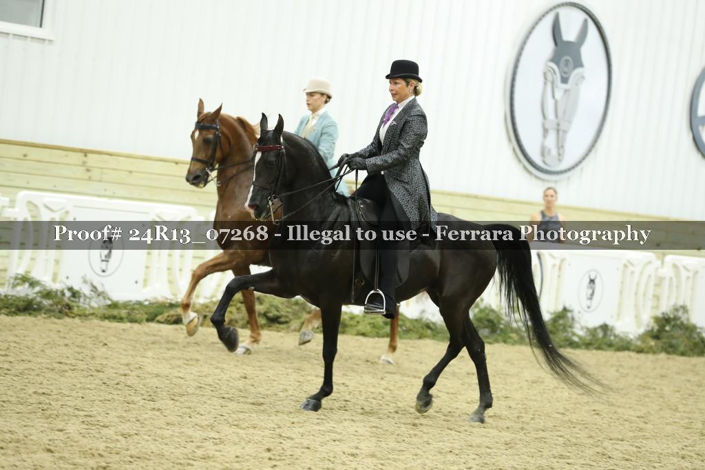 Proof Number 24R13_07268