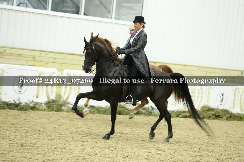Proof Number 24R13_07269