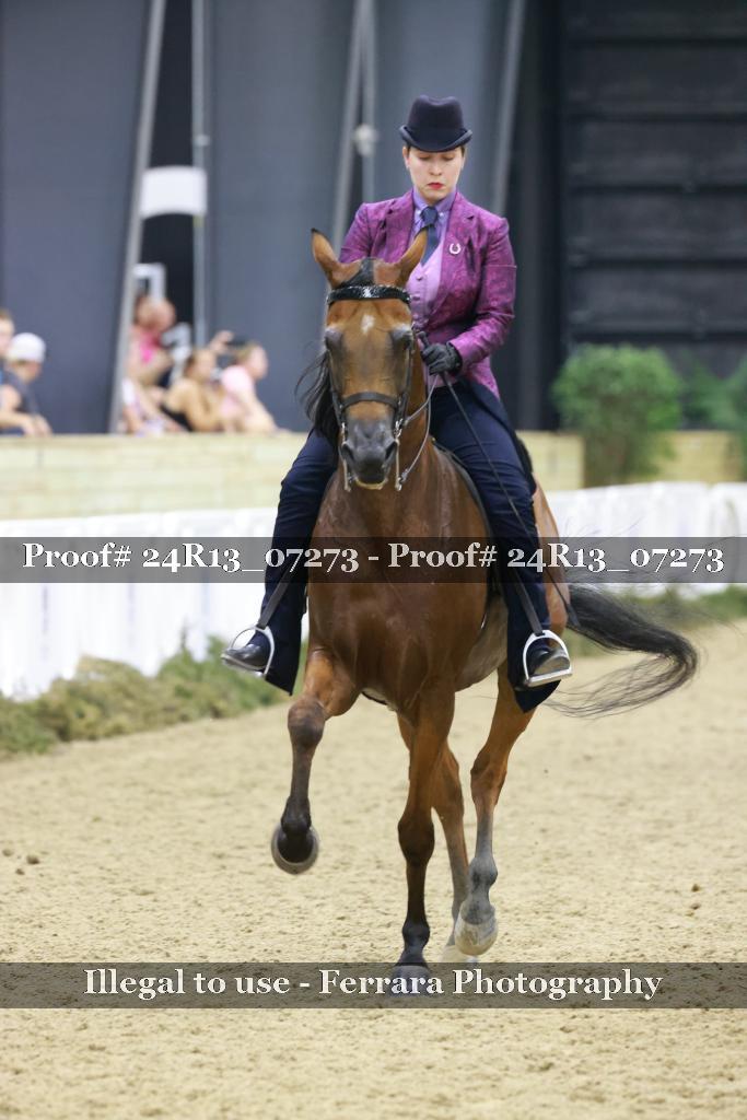 Proof Number 24R13_07273