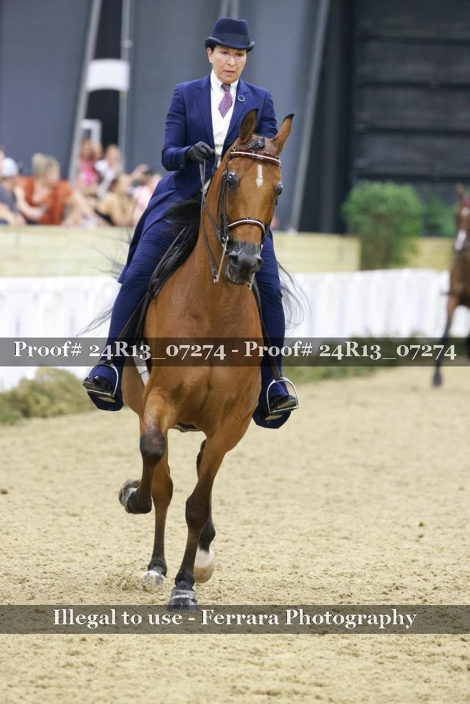 Proof Number 24R13_07274