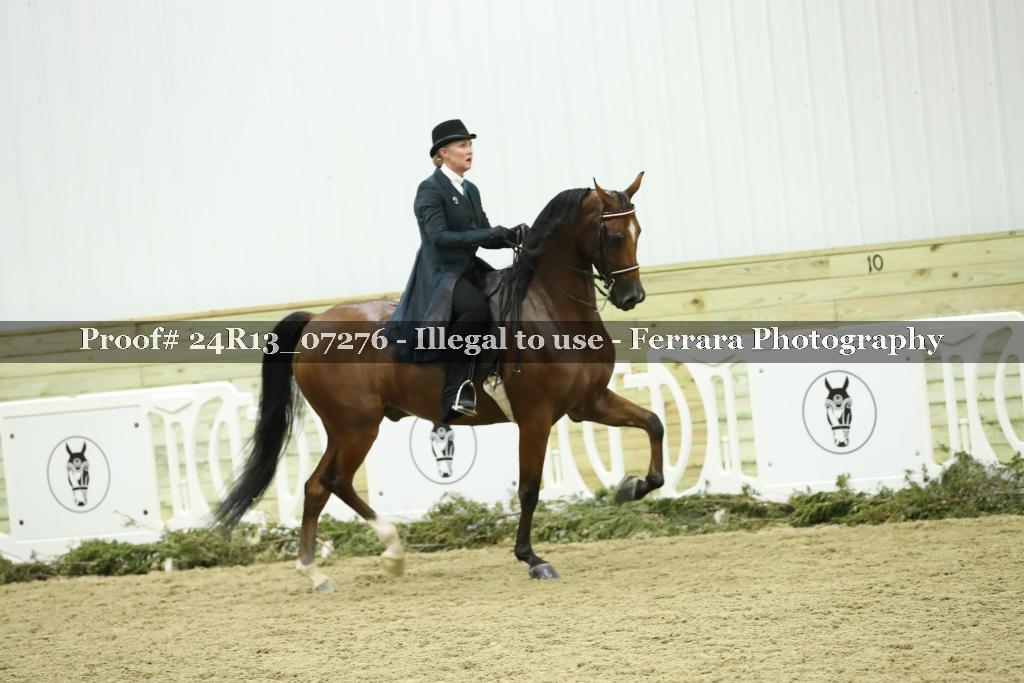 Proof Number 24R13_07276