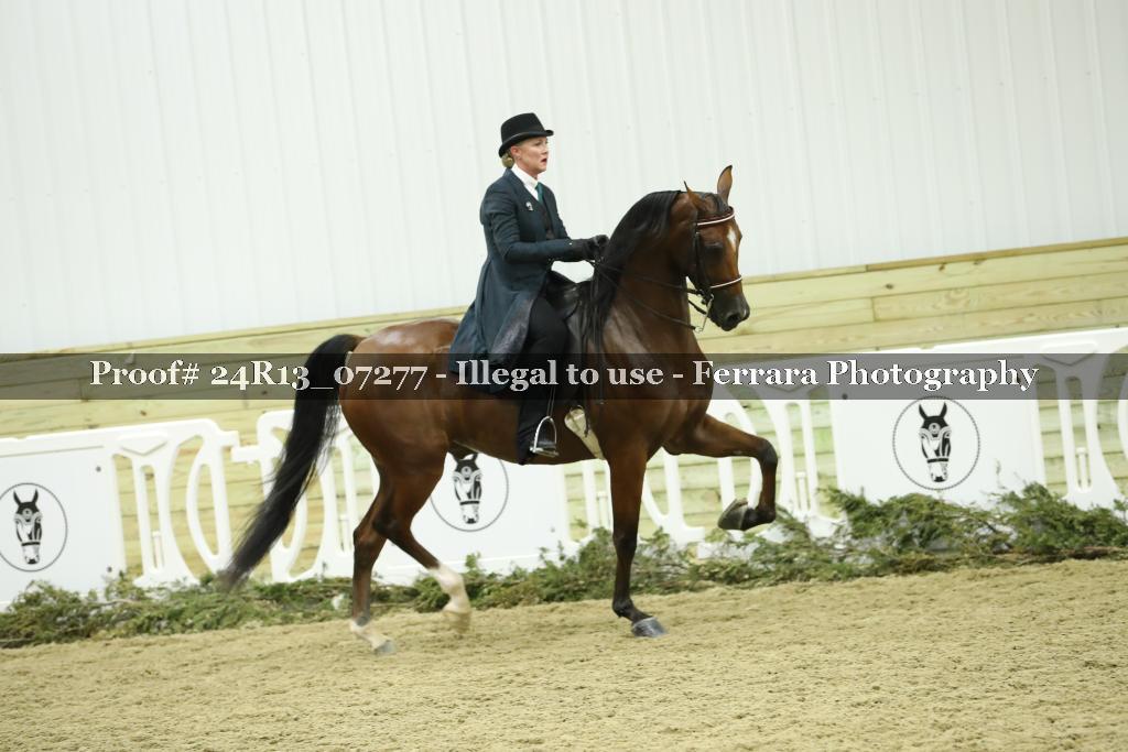 Proof Number 24R13_07277