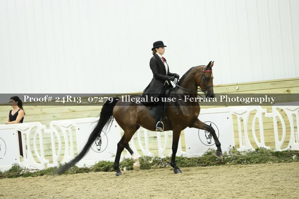 Proof Number 24R13_07279