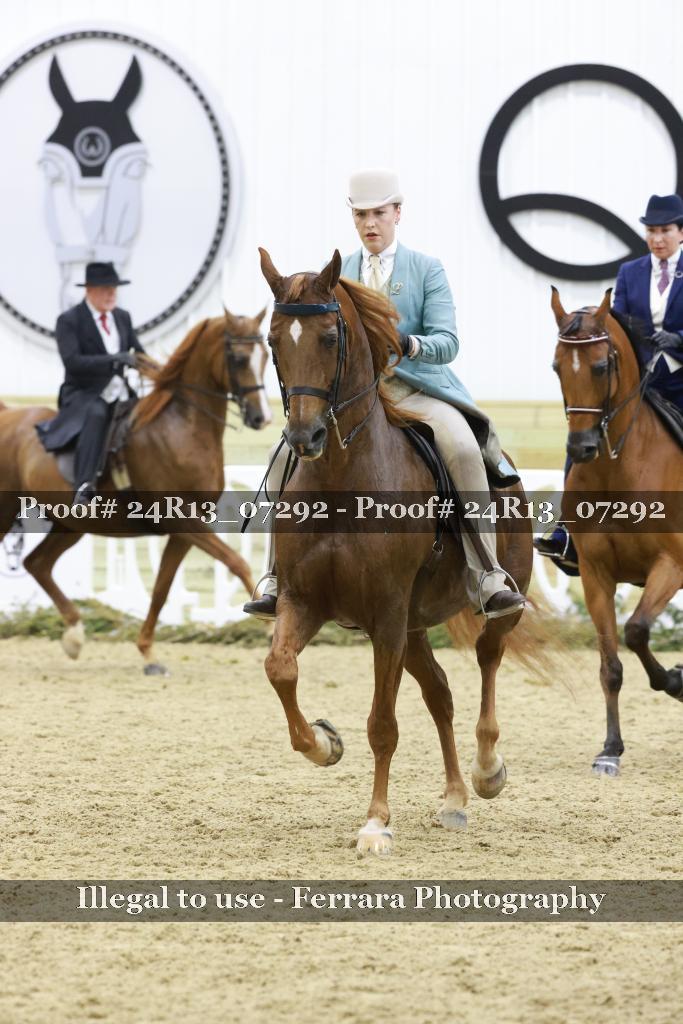Proof Number 24R13_07292