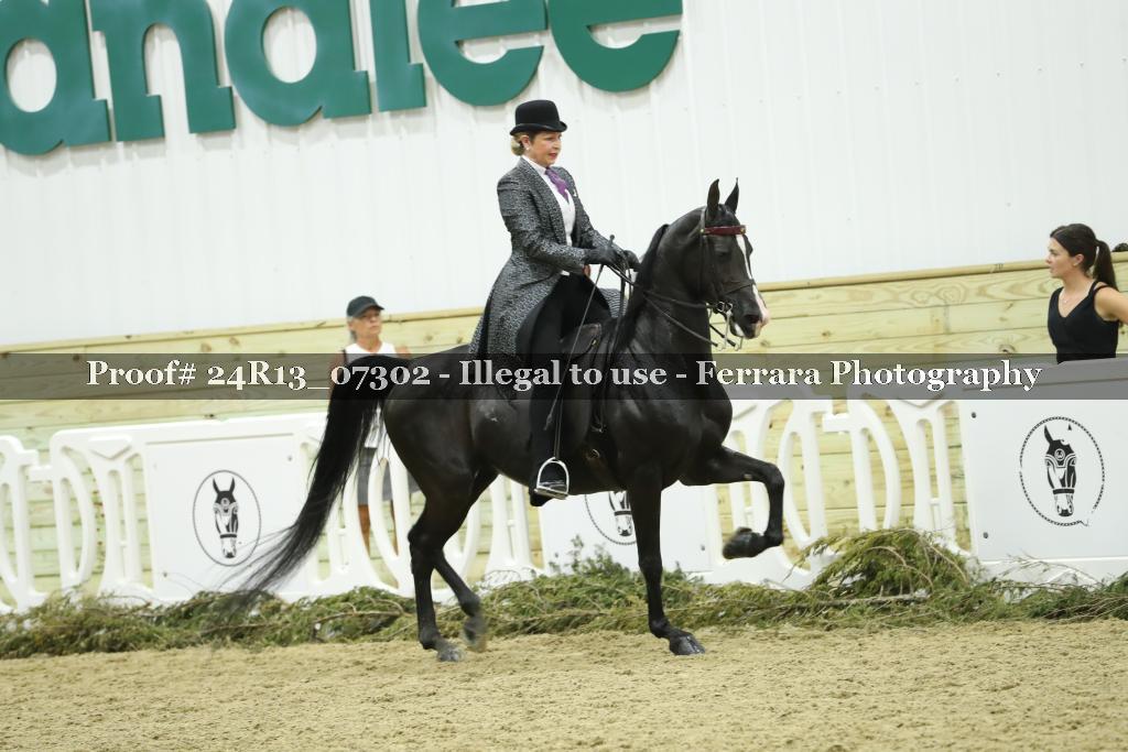 Proof Number 24R13_07302