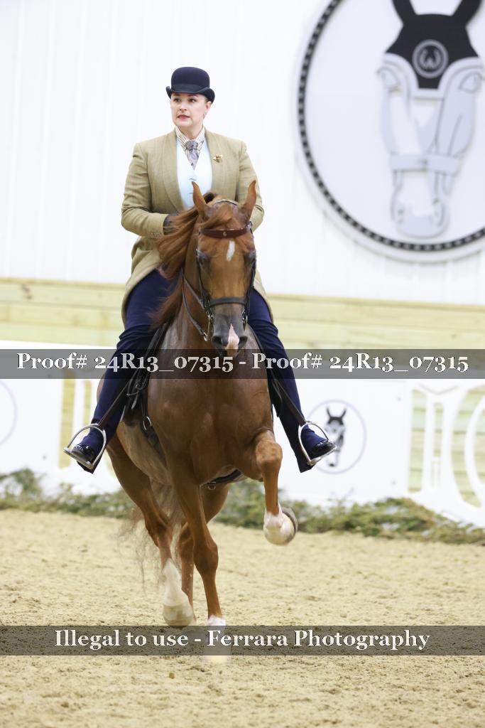 Proof Number 24R13_07315