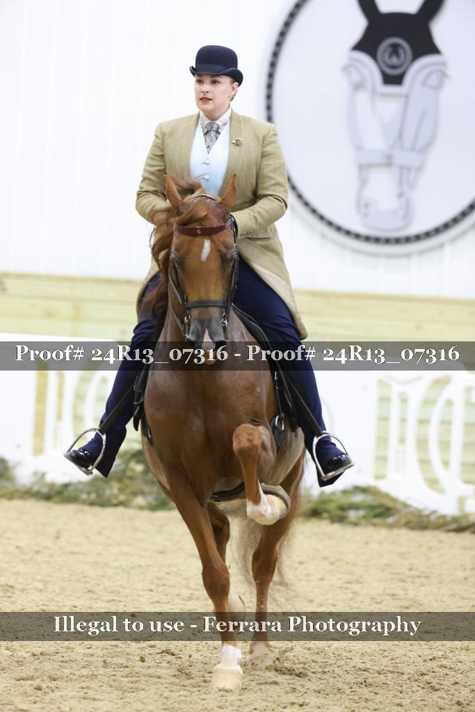 Proof Number 24R13_07316