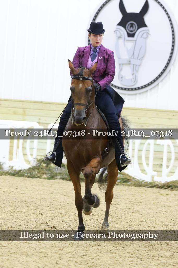Proof Number 24R13_07318