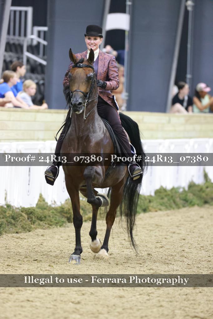 Proof Number 24R13_07380