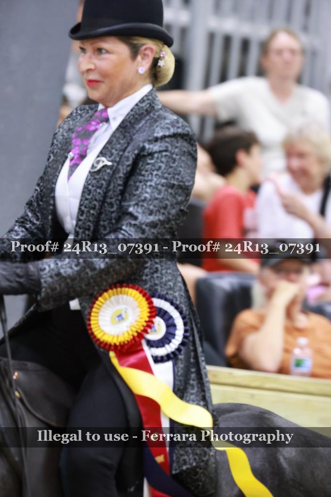 Proof Number 24R13_07391