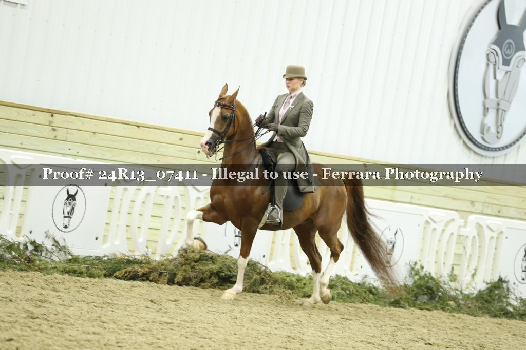 Proof Number 24R13_07411