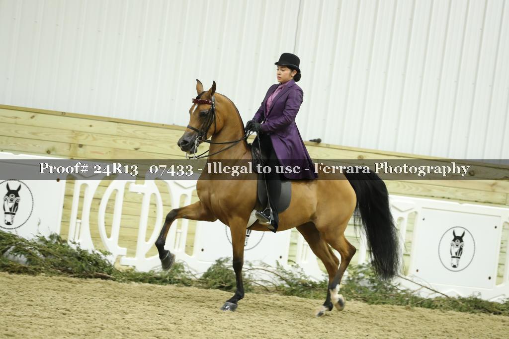 Proof Number 24R13_07433