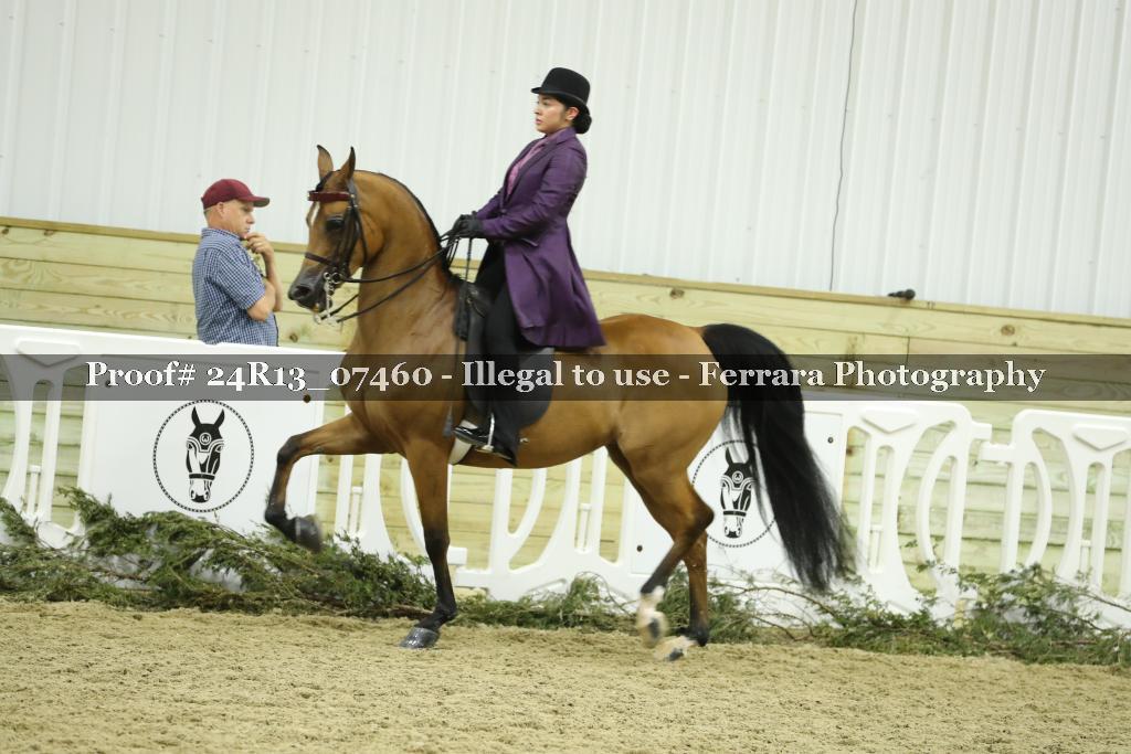 Proof Number 24R13_07460