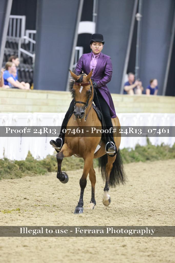 Proof Number 24R13_07461