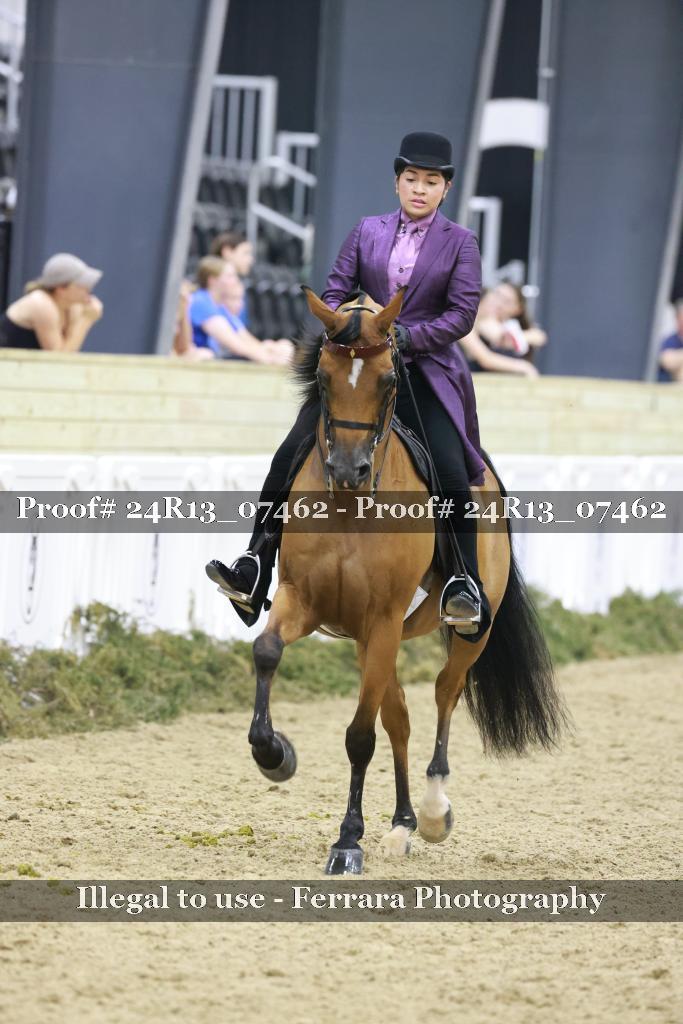 Proof Number 24R13_07462