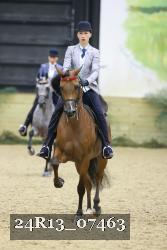 24R13_07463 thumbnail