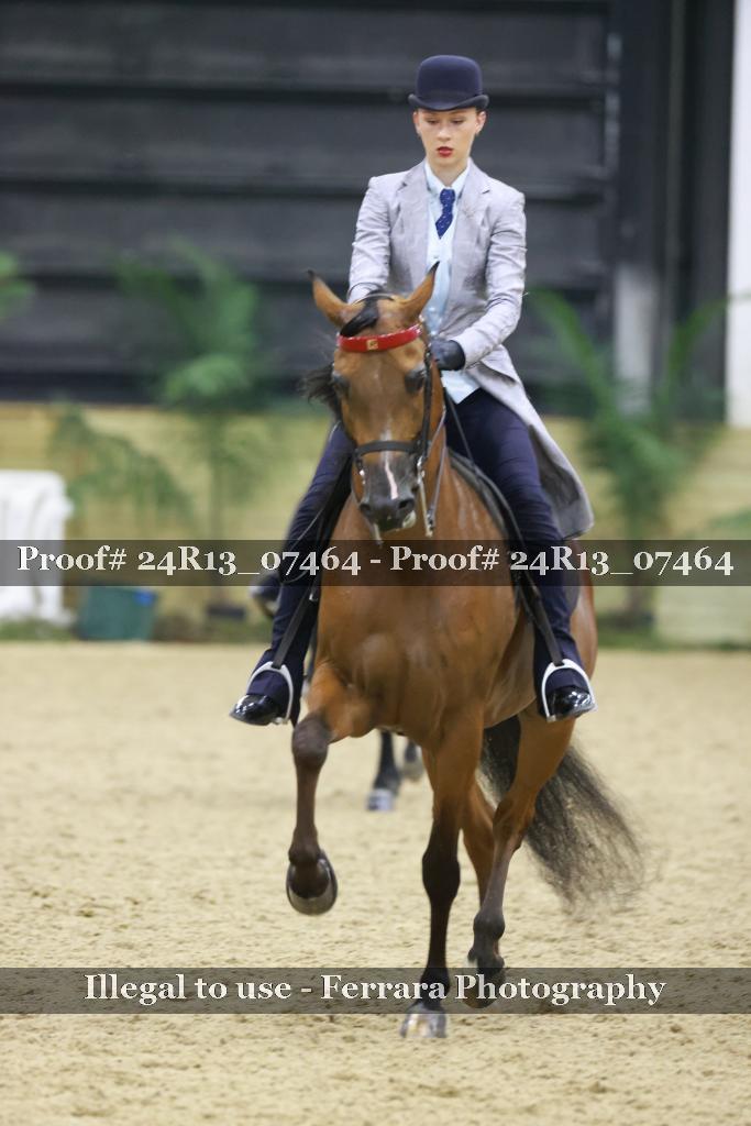 Proof Number 24R13_07464