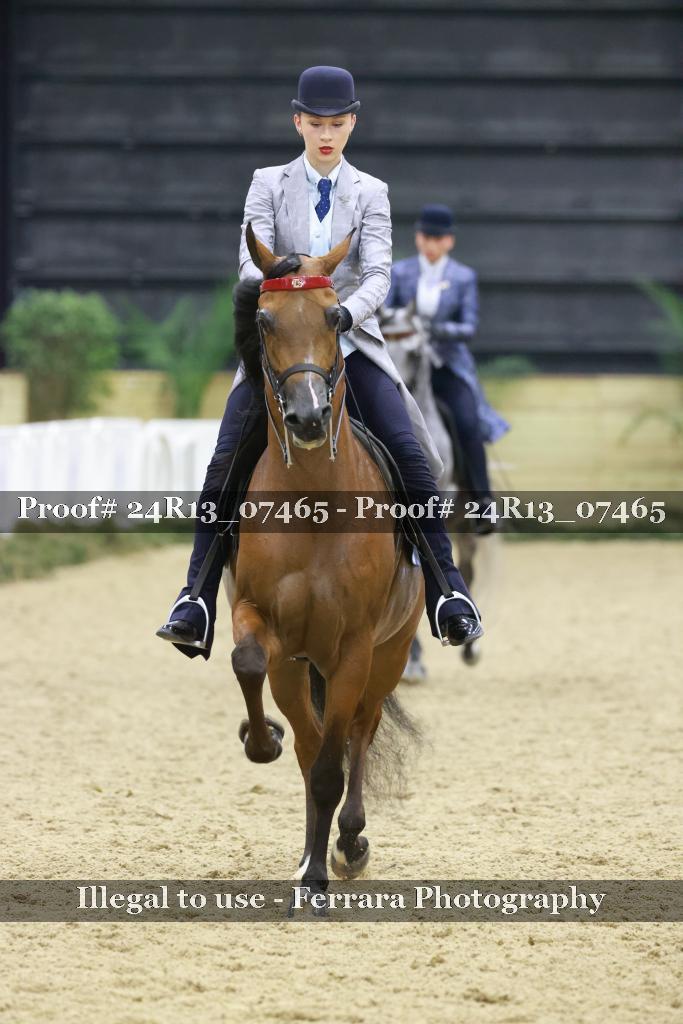 Proof Number 24R13_07465