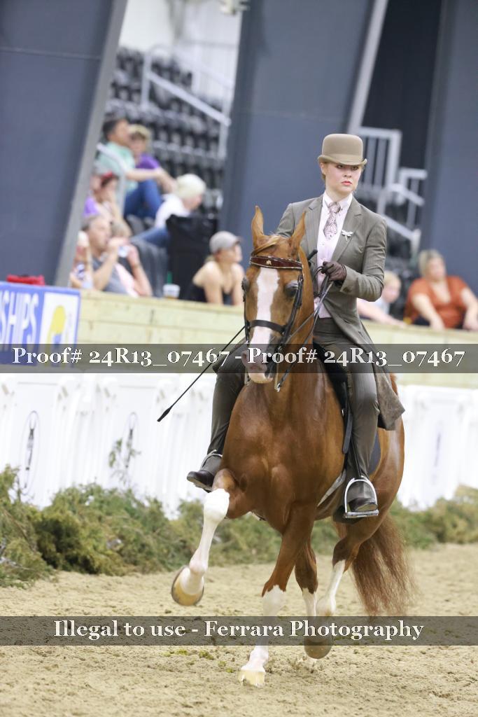Proof Number 24R13_07467