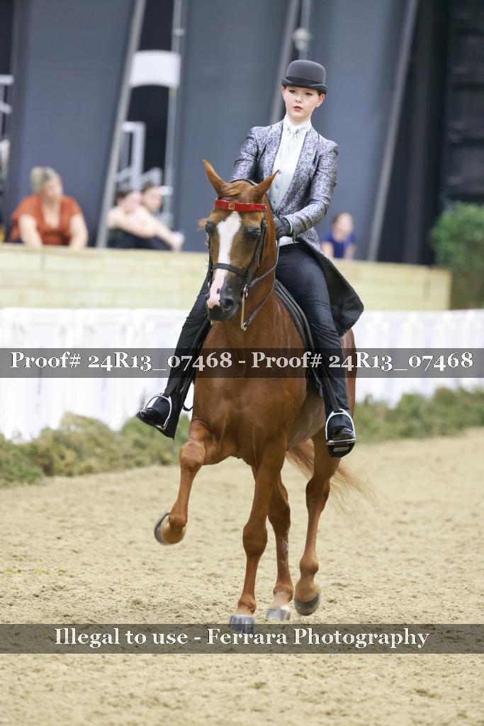 Proof Number 24R13_07468
