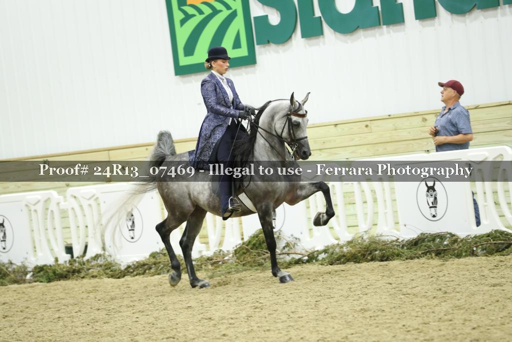 Proof Number 24R13_07469