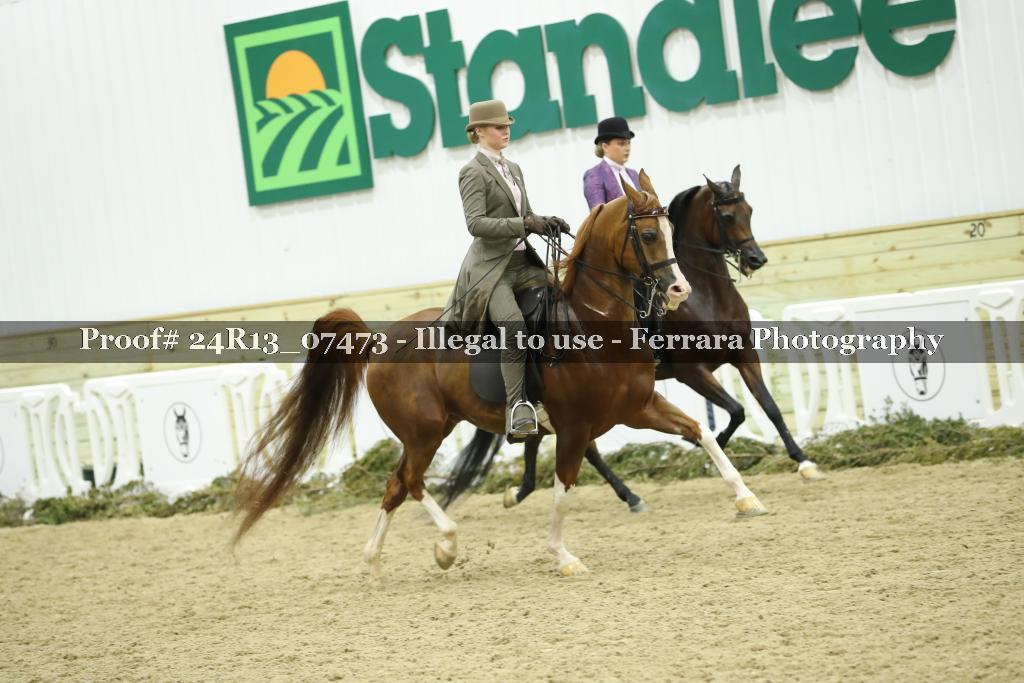 Proof Number 24R13_07473