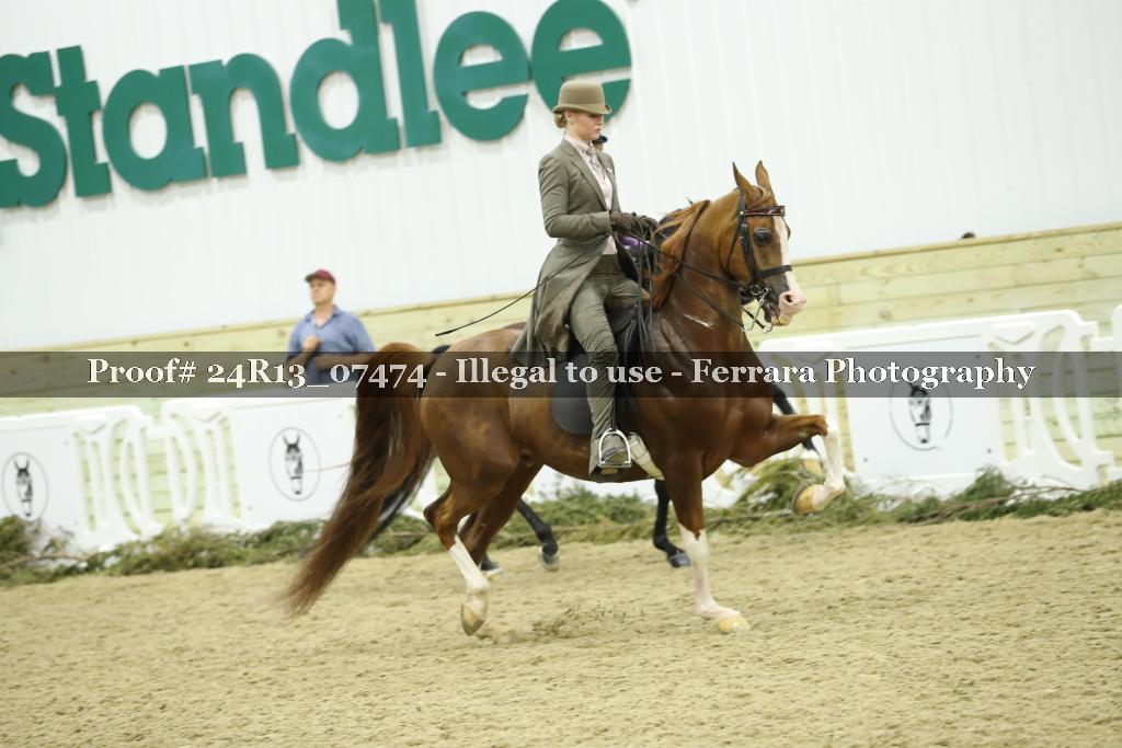 Proof Number 24R13_07474