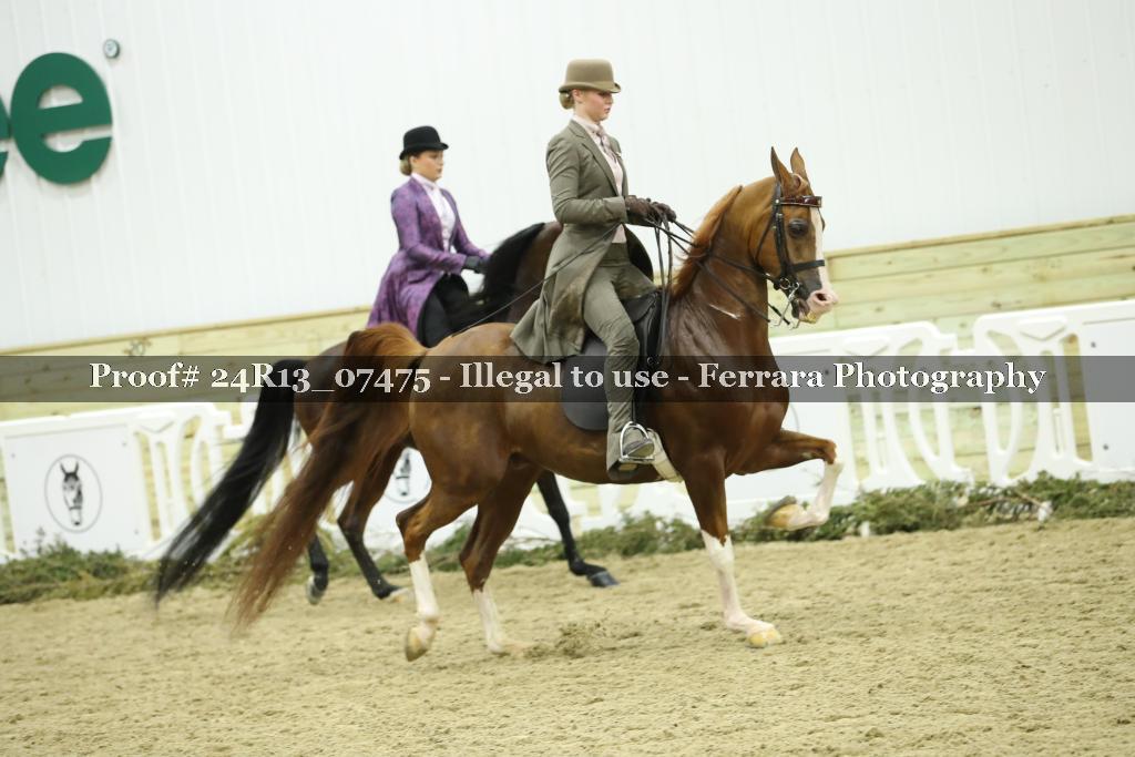 Proof Number 24R13_07475